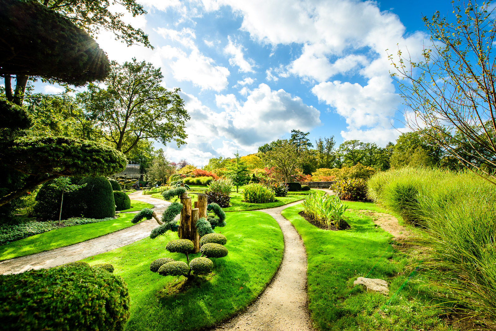 KasteeltuinenArcen_herfst%20(14).jpg